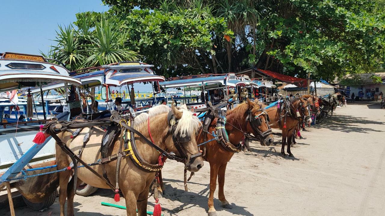 Cabana Gili Air Eksteriør billede